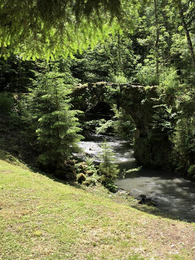Chalet Le Moulin Des Olirics Sallanches