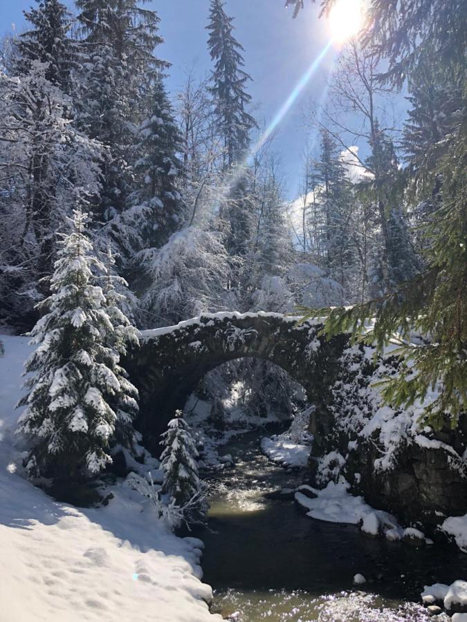 Le Moulin Des Olirics Sallanches