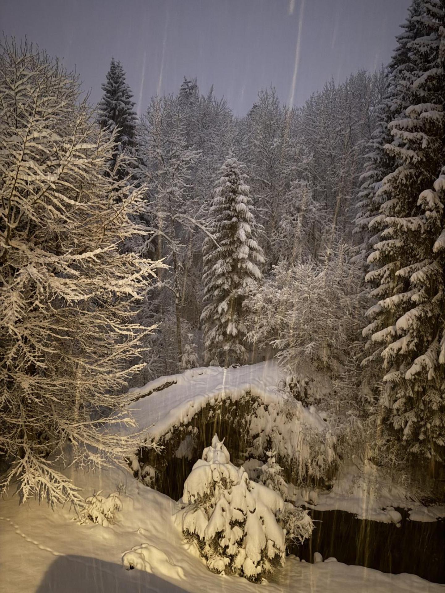 Le Moulin Des Olirics