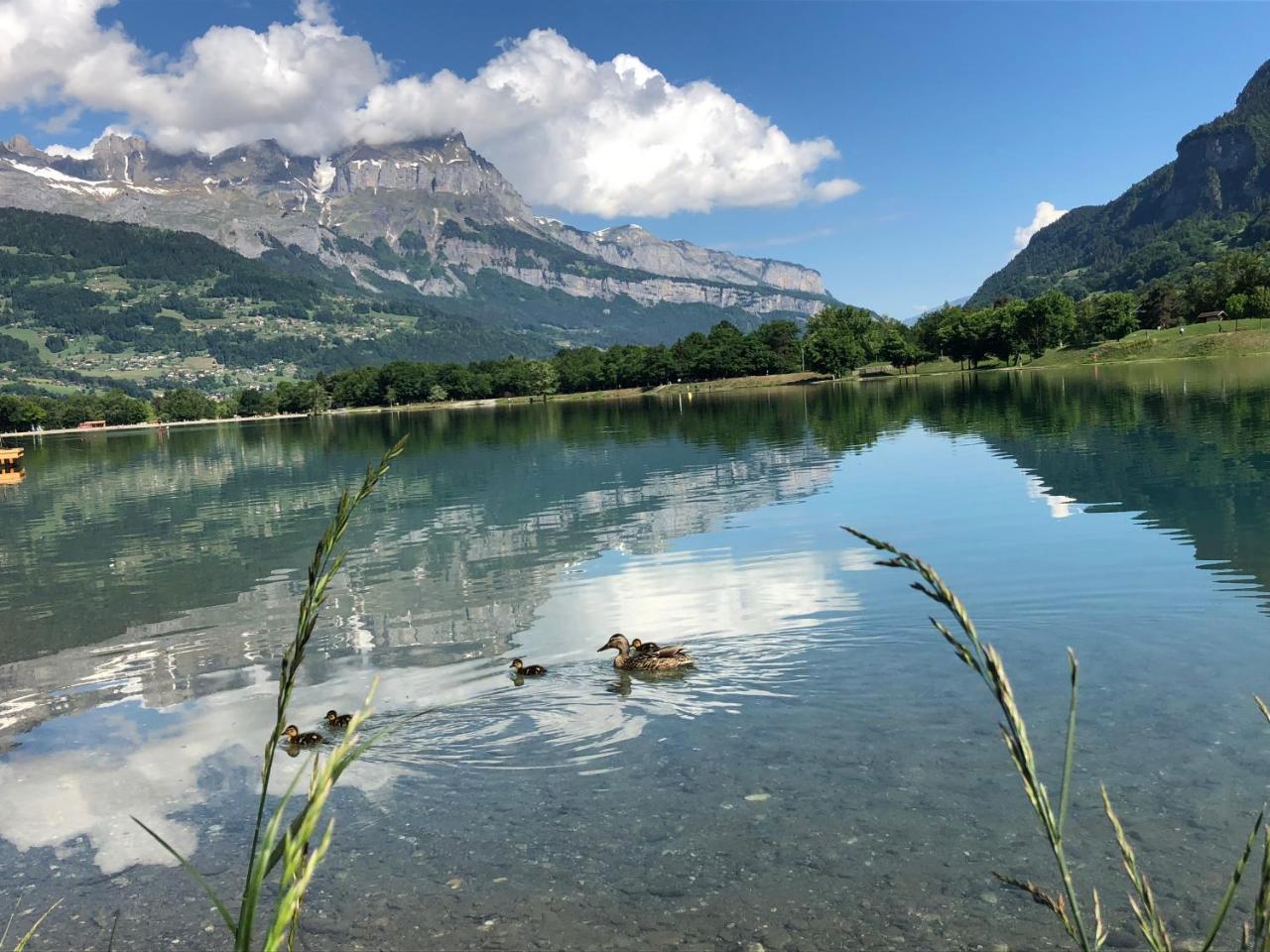 Le Moulin Des Olirics Chalet