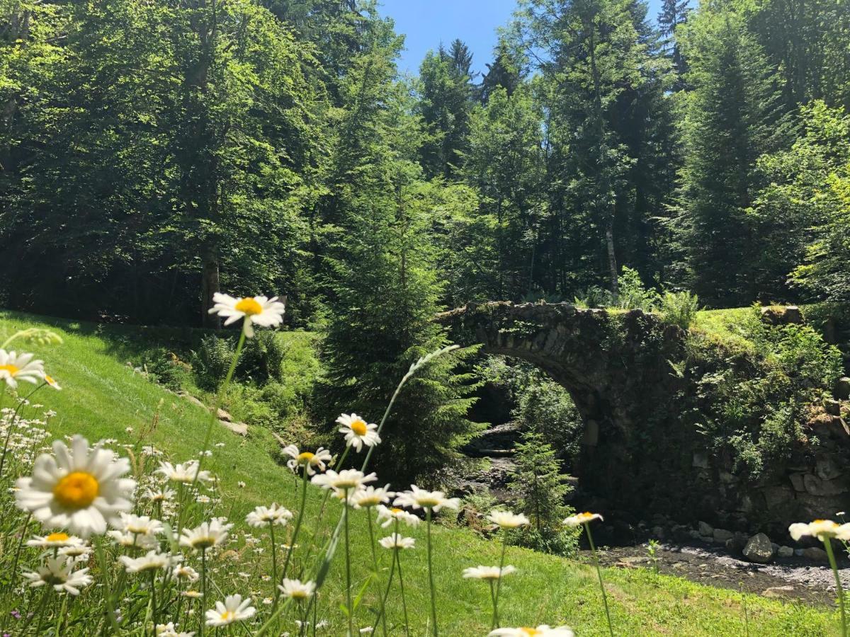 Le Moulin Des Olirics Sallanches